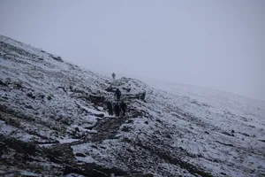 Snowy Mountain Side from the Llanberis Path