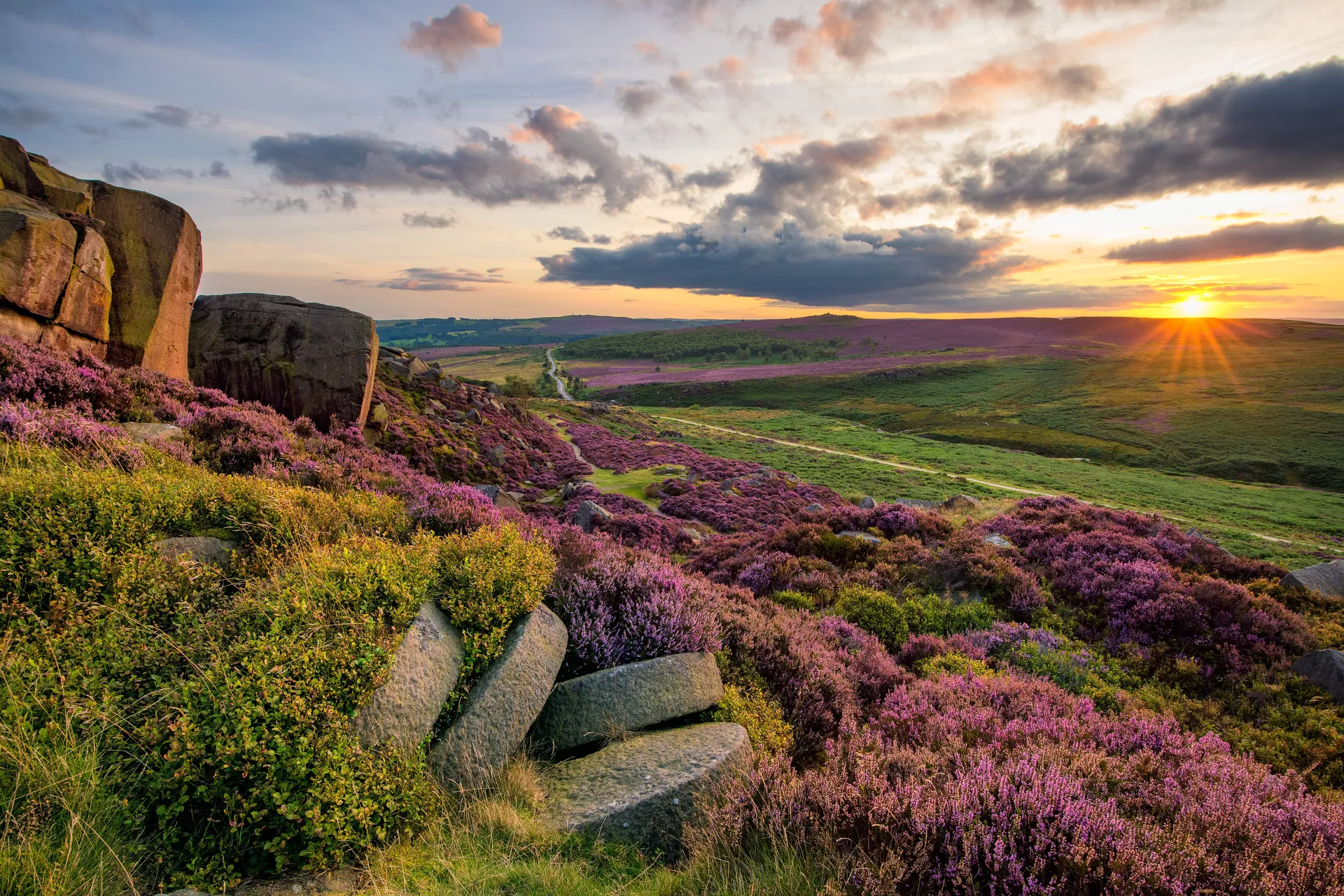 Peak District Vista With Purple Heather