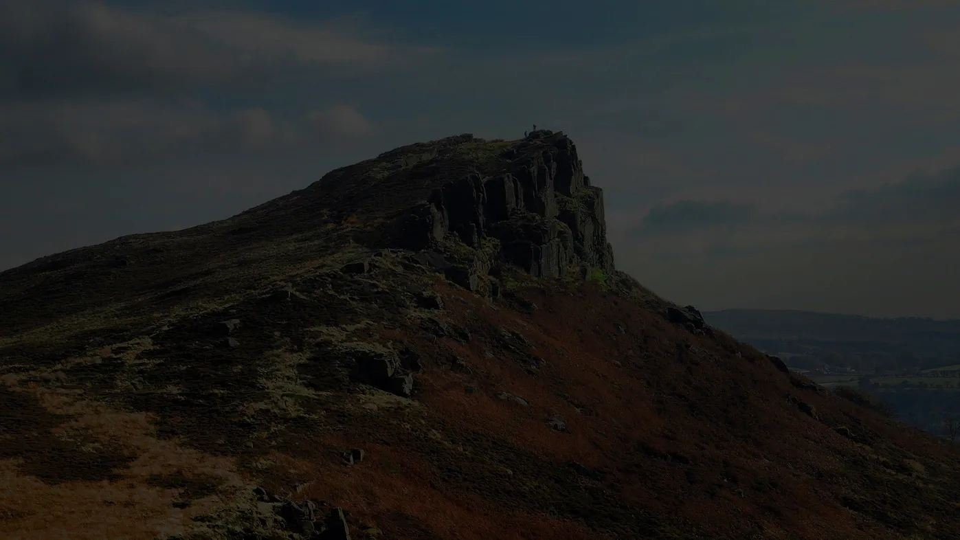 The Roaches