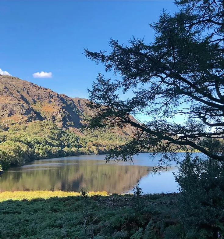 llyn-dinas