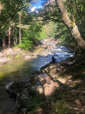 Girl Sitting in Aberglaslyn Gorge